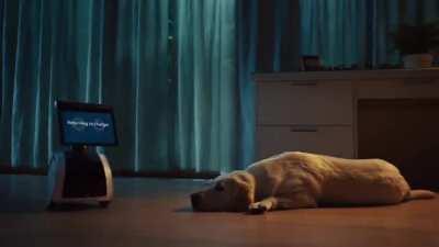 Amazon Astro Home Robot