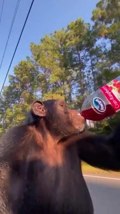 God damnit Brent its already been done you shirtless dog fucker.