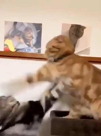 Slapping at the speed of light