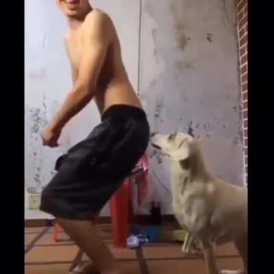 WCGW While twerking in front of your dog