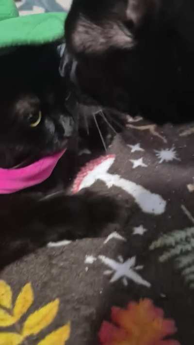 Ralsei 100% real not fake!!!