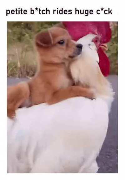 Just gonna leave this here