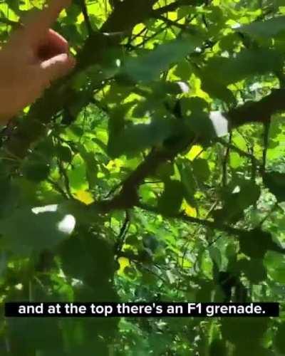 Practical demonstration of deadly hooks attached to hidden grenades