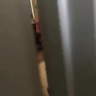 The members of this sub in a nutshell.