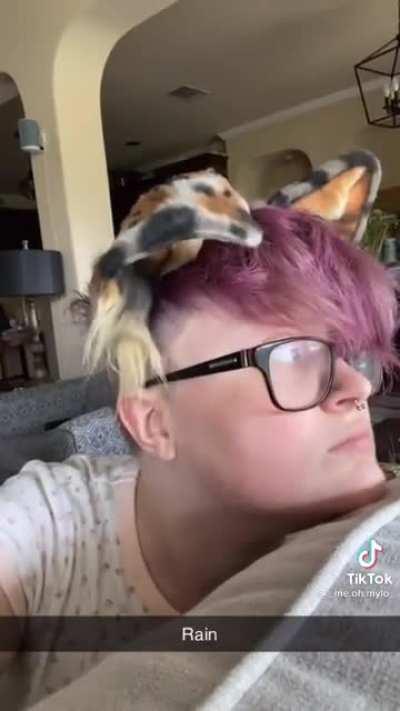 No one cared who I was until I put on the ears