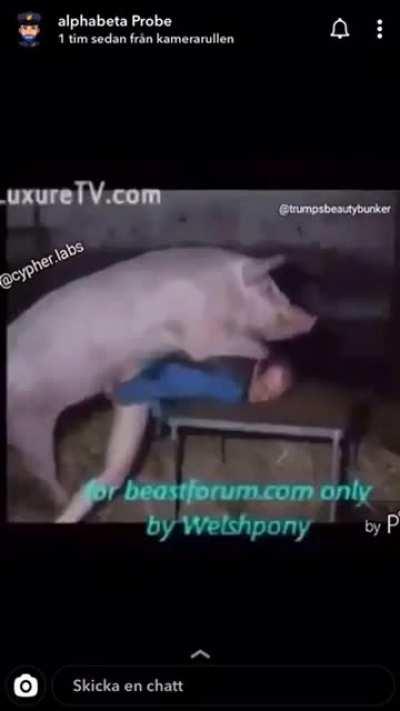 Fortheboyshehe - Video #6944