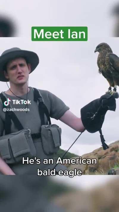 Zach Woods has joined TikTok and it’s just what we needed 