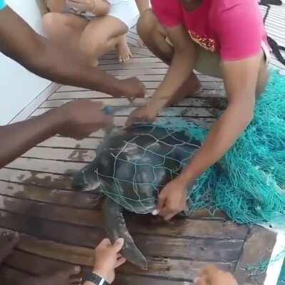 You seeing this shit?