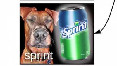 Here's My Family Tree