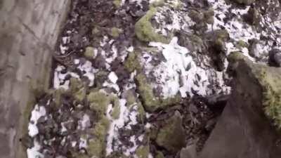 This dude scared the shit out of me.