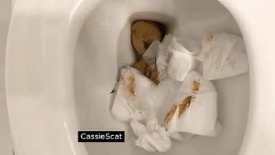 2 Cassie Toilet Trips: Sounds + Wipes [GIF]