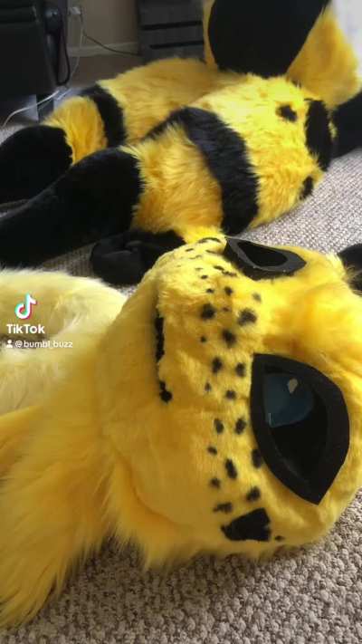 I came in like a wreaking bee