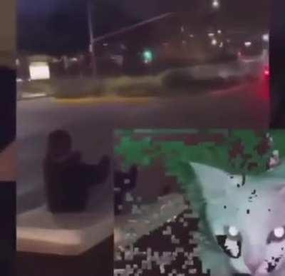 It’s fun and free entertainment 