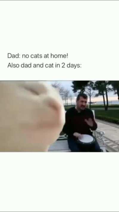 No idea on any details, sounds like mid eastern,got it on instagram