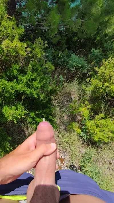 The view was amazing