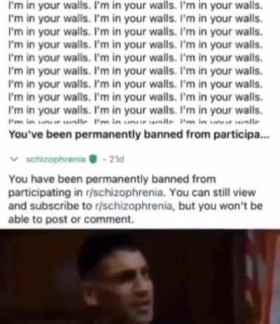 The schizophrenia sub hates schizo posting 