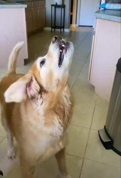 Not once, not twice...