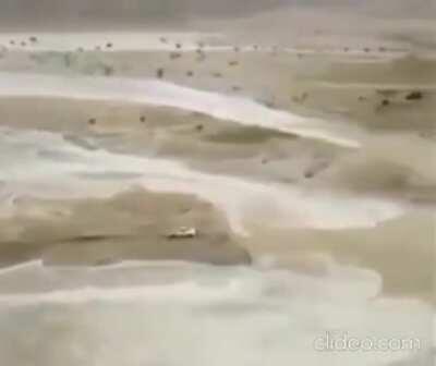 Oh shit! Oh shit! Oh shit!