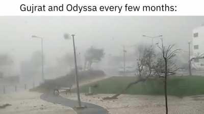 hope my dhoklas are safe 🥲🥲