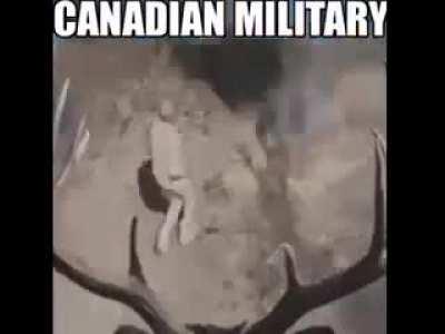 Canadians don't screw around...