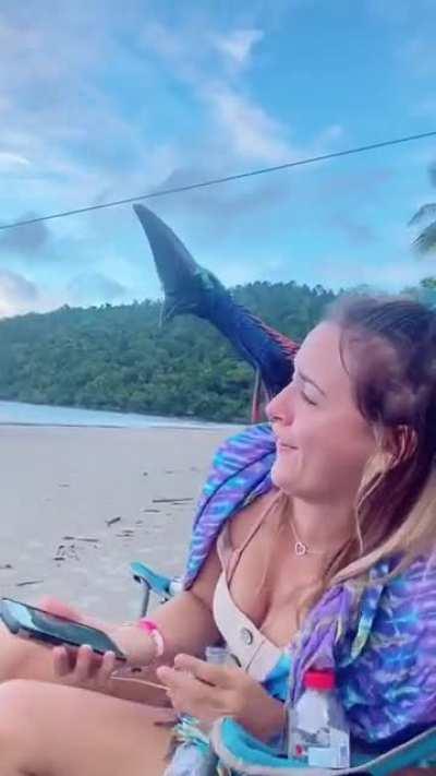 Lucky person survives encounter with Cassowary, which is a deadly unit among birds