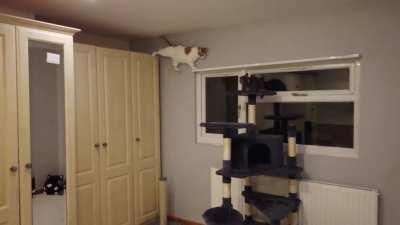 This is what skipping training sessions do to you