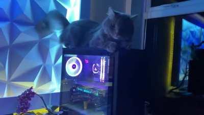 Velcro is a must in my house