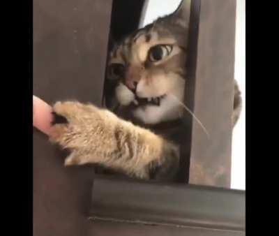 Wait, I think I'm stuck