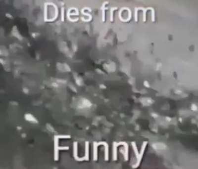 ShowerDinoTaco - Video #7784