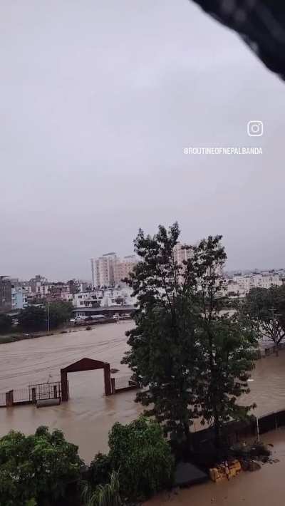 Normal Day in Nippleland