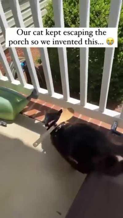 Now i’m waiting to see what they will come up with when the cat will try jumping over