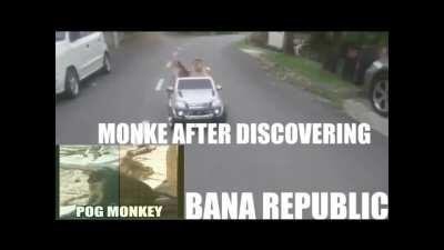 monke GO HONDURAS many BANA