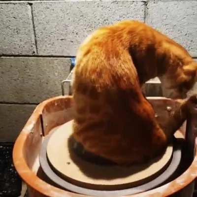 Pottery Studio Assistant