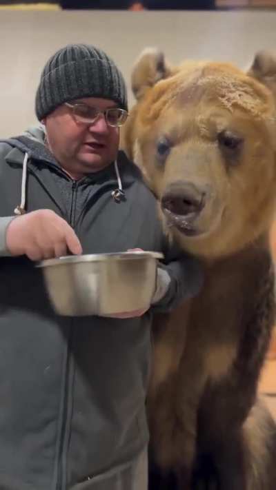 The Bear's Lunch