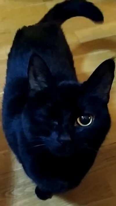 Are you winking at me?