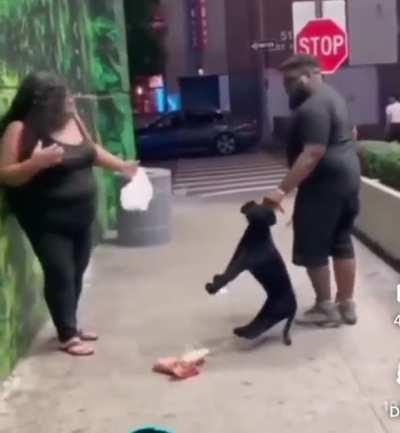 DoG kiLLs womAN wHILe prOteCTiNg BLind oWNEr