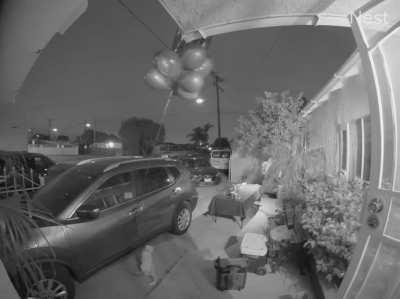 We were wondering where my boyfriend's birthday balloons went...