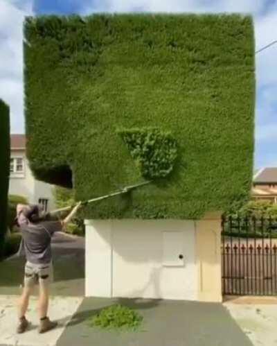 Finish Your Work, Man!