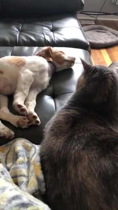 Good Morning... Here's your wake up slap