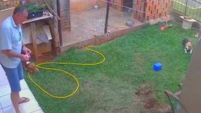 WCGW Setting Ants Hill On Fire With Gasoline?