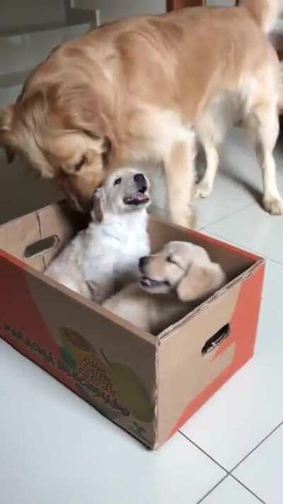 The ending made it all worthwhile.