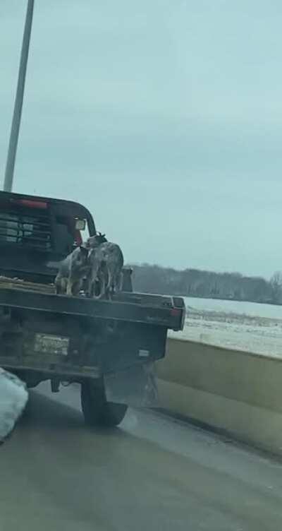 This dude was going into the highway like this smh. Sorry for the bad recording my driver was scared to be beside him while I recorded lol