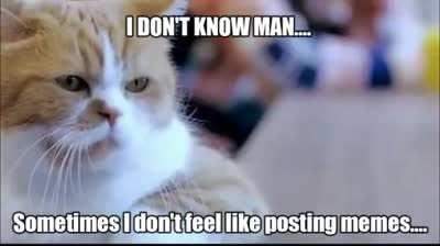 Sometimes I just want to give up