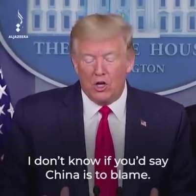 We owe Donald Trump a big thank you