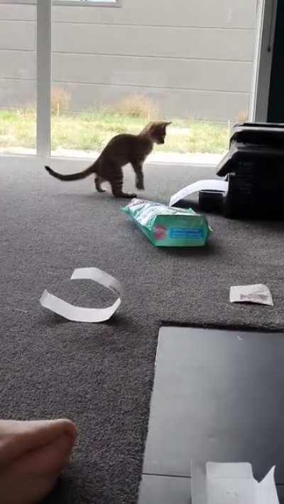 I'm fascinated and terrified