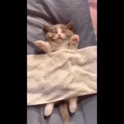 Smol with big dreams.