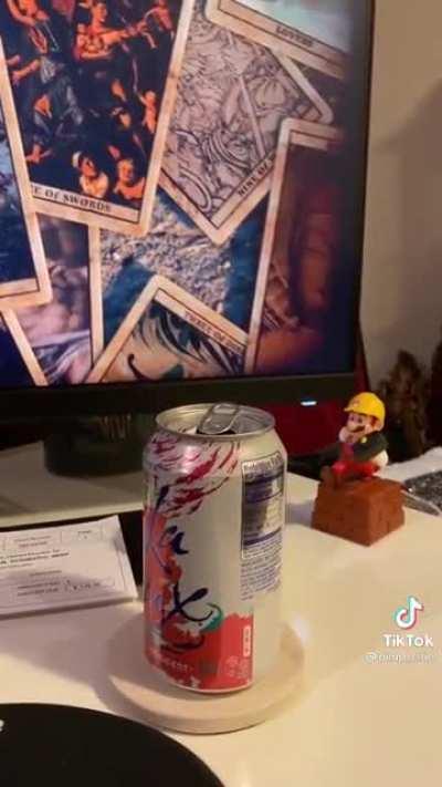 Pet Bird Playing Around