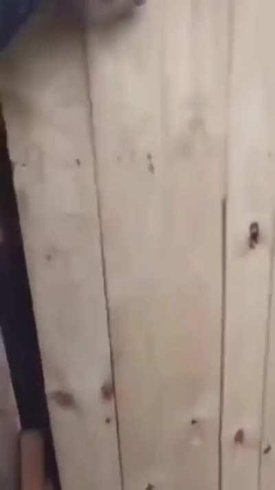 Isn’t this illegal 