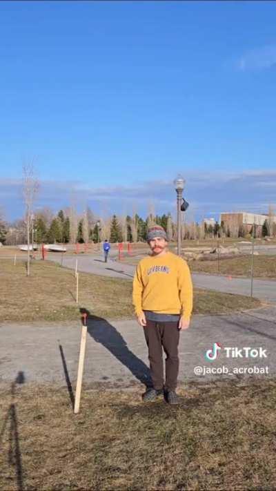 Catching a dart with a wooden post