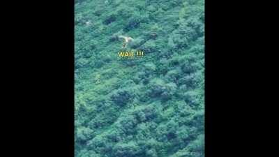 I really hate you ....